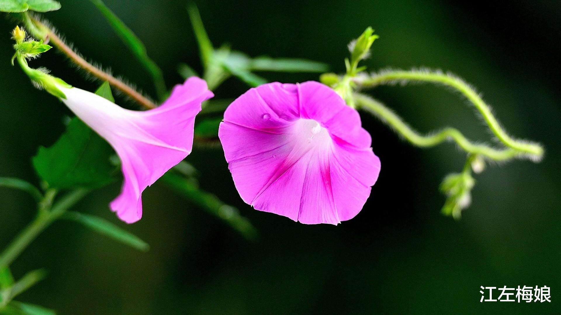 |一个高情商的人，早就认清了这三个“社交错觉”