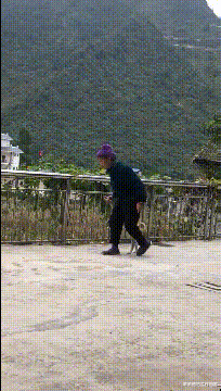 “一月80元的房子,我和女朋友整整租了半年!”兄弟腰挺好啊...