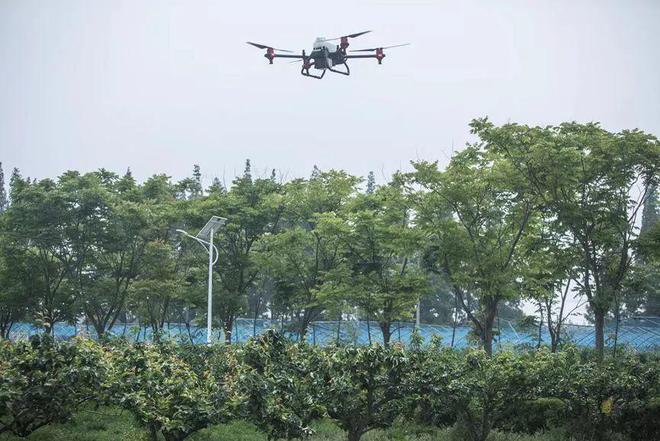删除|在李佳琦618直播间，看得到电商的下一个十年吗？