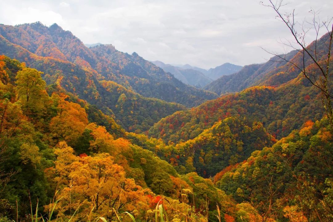 旅行|11月最值得去的9个秘境，人少景美，看一眼就醉了