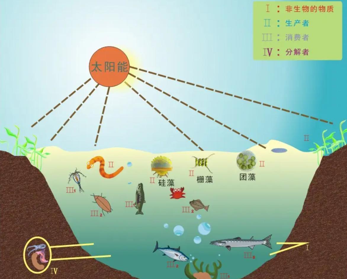 唯一和世界隔绝5万年的鱼,只剩38条,还差点被醉鬼连锅端了