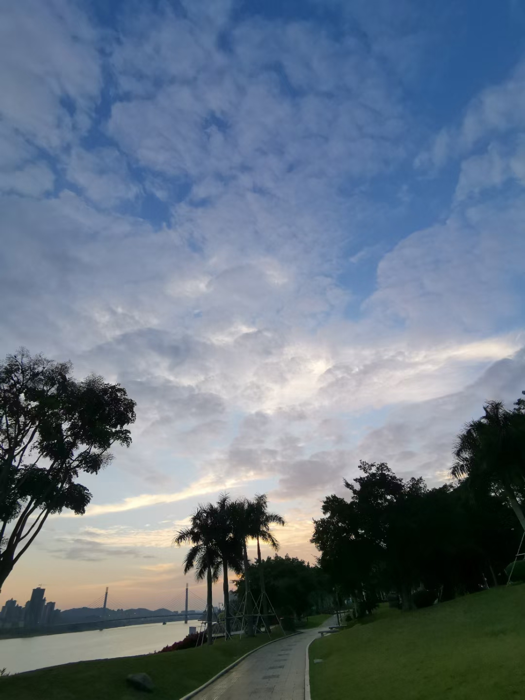 郁金香抗抑郁 孩子抑郁了，是用生病在告诉家长:  我们的家庭生病了。