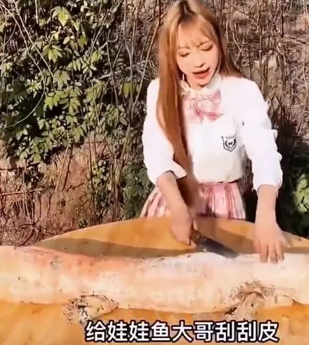 吃鲨鱼的网红,把自己作进去了!