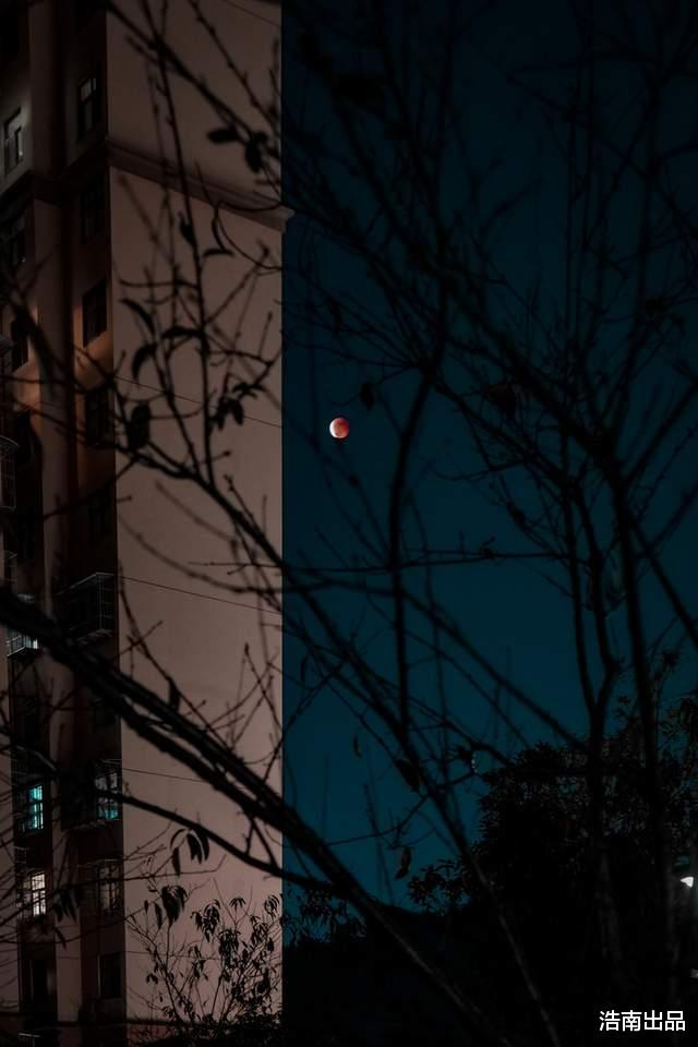 相机|1.2万松下S5微单开箱，双镜头组合，性价比最高全画幅相机？