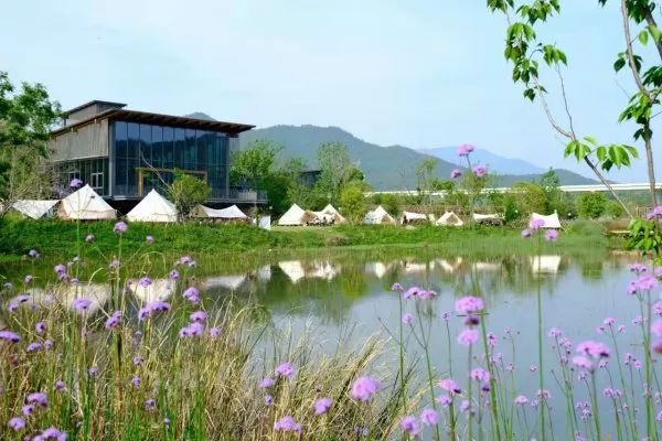 自驾|17℃自驾游线,串起建德山水画廊