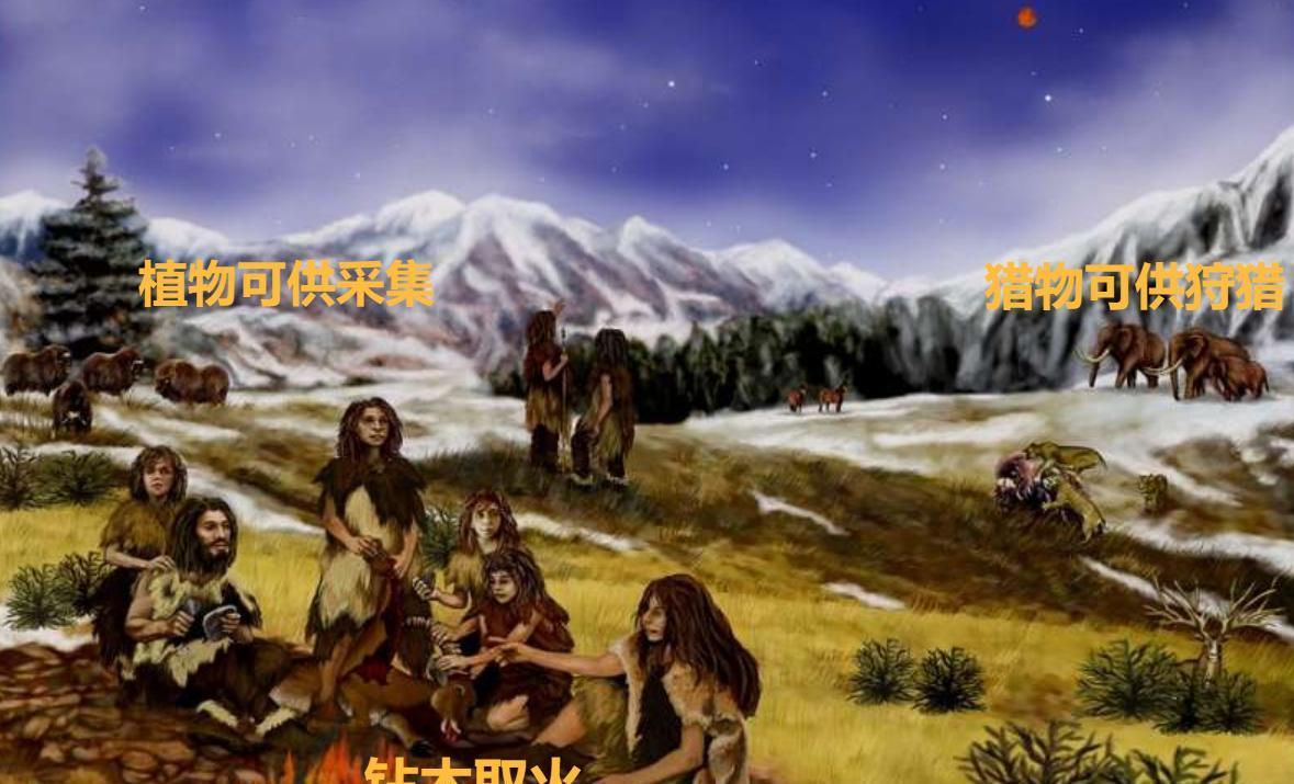 为什么人类不像其他动物一样,有固定的“发情期”?