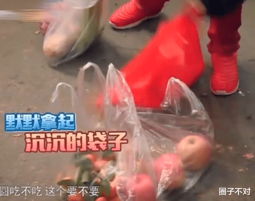 胡可|“妈圈顶流”胡可:一招轻松化解“二胎矛盾”,狠狠打了梅婷的脸