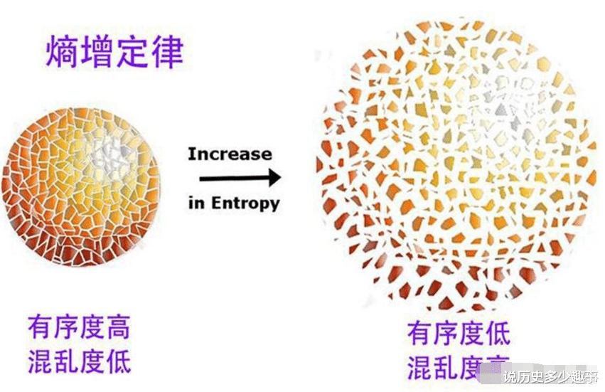 “腐烂”规律已被破坏,专家:为避免浪费,人类最好放弃火化