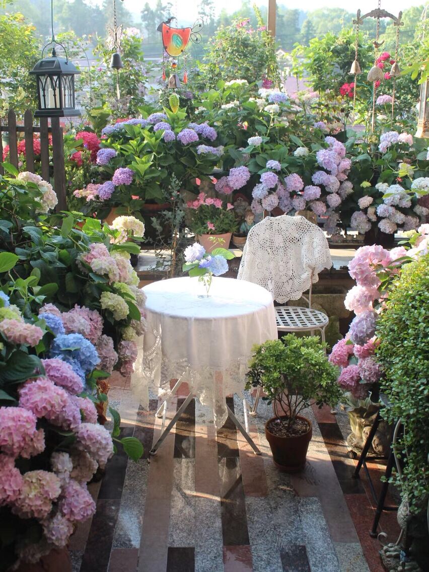 把阳台改造成花园,送自己一个城市里的“小森林”,美翻了