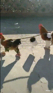 |坐地铁碰到最美阿姨,偷瞄被她发现了,该怎么办?