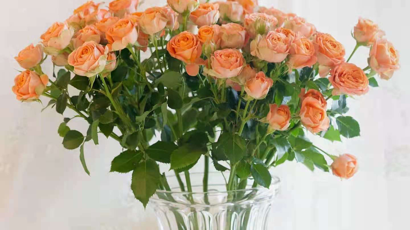 深圳只欢迎年轻的打工者？