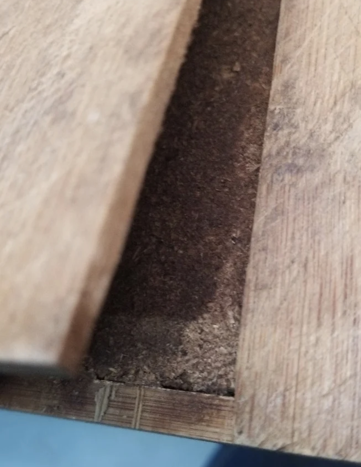 这5样东西已经被列入“黑名单”，该扔就扔，真的不用心疼