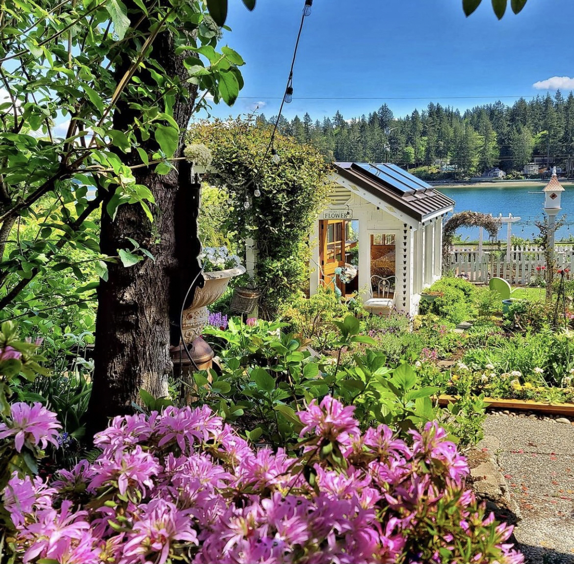 田园风“庭院花园”,满足了都市人对田园生活的向往,太惬意了