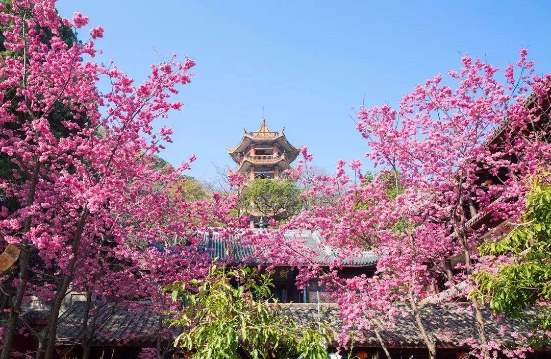 重庆|【春节特辑】春节最佳旅游线路出炉，赶快和家人们去打卡吧！