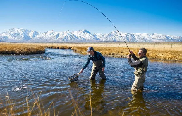 深水区|早春钓鲫，钓友记住这4点，保证你一钓一个准，鲫鱼一顿狂拉
