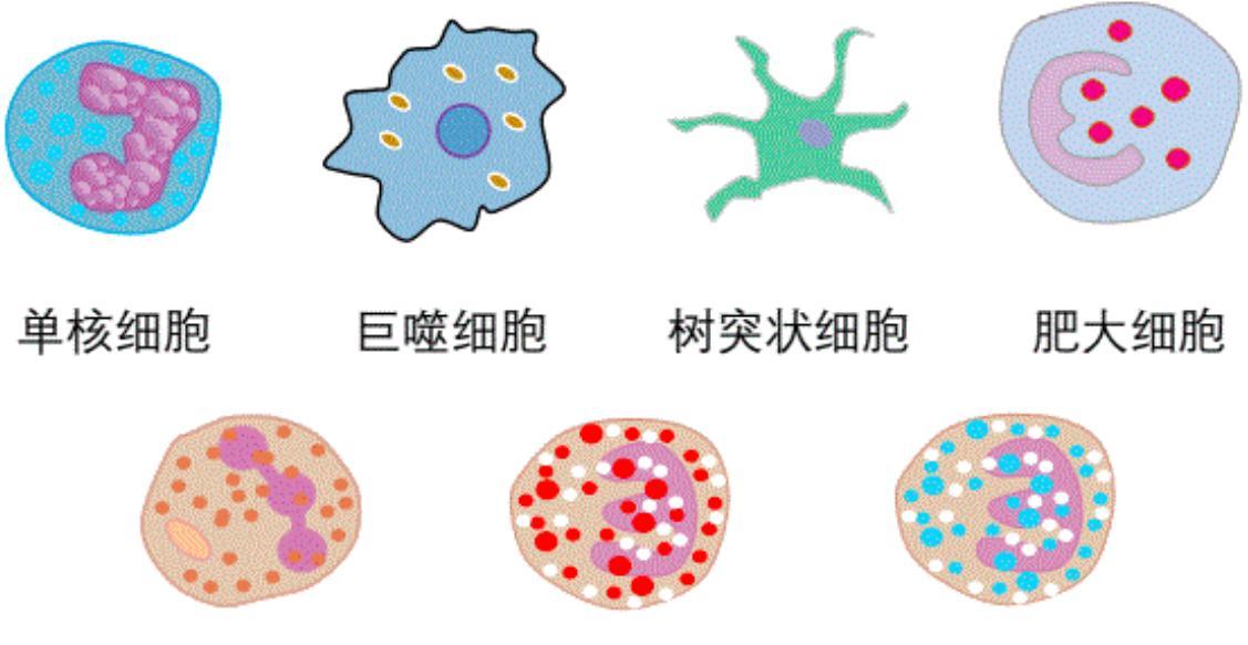 回不去的37度！人体温度在不断凉凉，这究竟意味着什么？