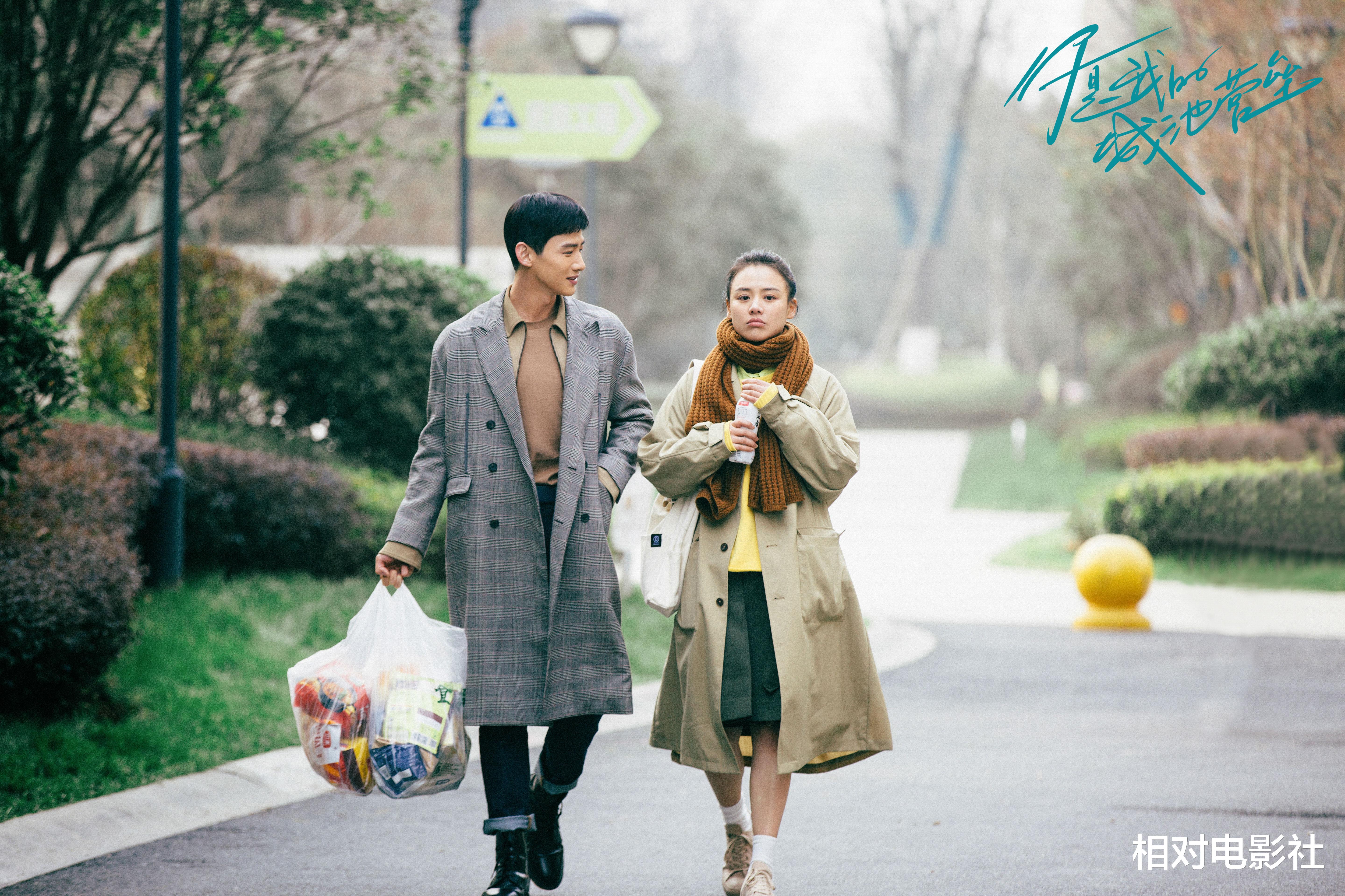 戴安娜|《开端》后白敬亭又一新剧将袭！合作《赘婿》编剧，阵容依旧豪华