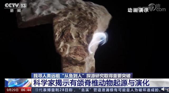 热搜第一!我国科学家证实人类是从鱼进化来的!从鱼到人演化需近5亿年