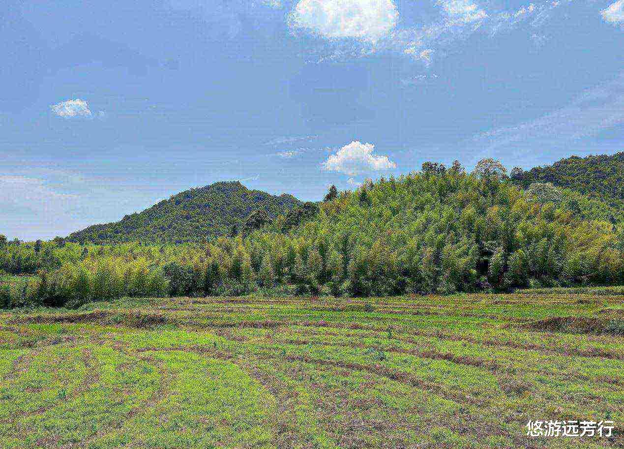 |从化｜胜过阿婆六的鱼洞村