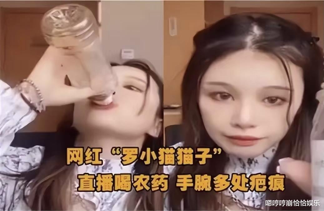 前有直播间喝农药,后有直播间跳楼,网红的价值到底体现在哪?