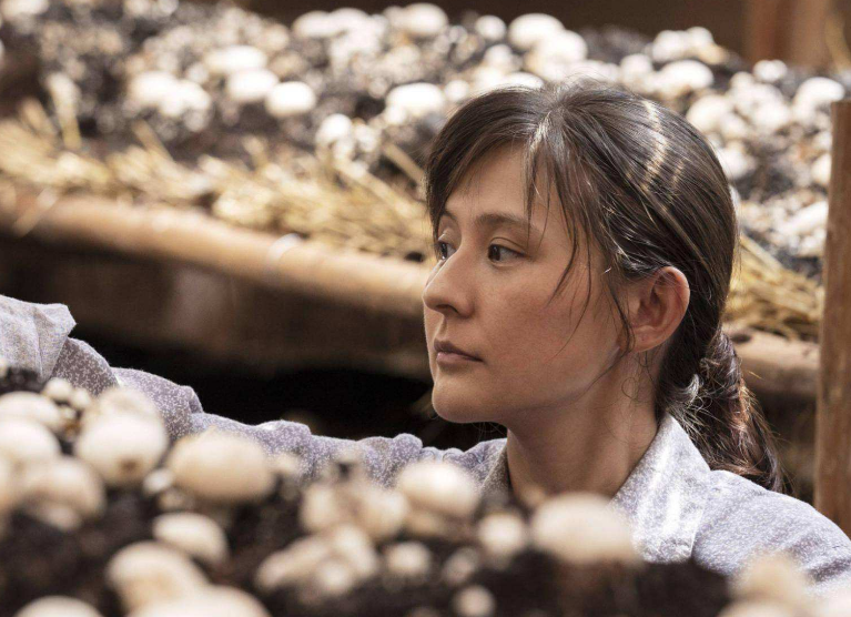 正午阳光|开端还在爆，正午阳光又一大剧来了，上星浙江卫视，这阵容我爱了