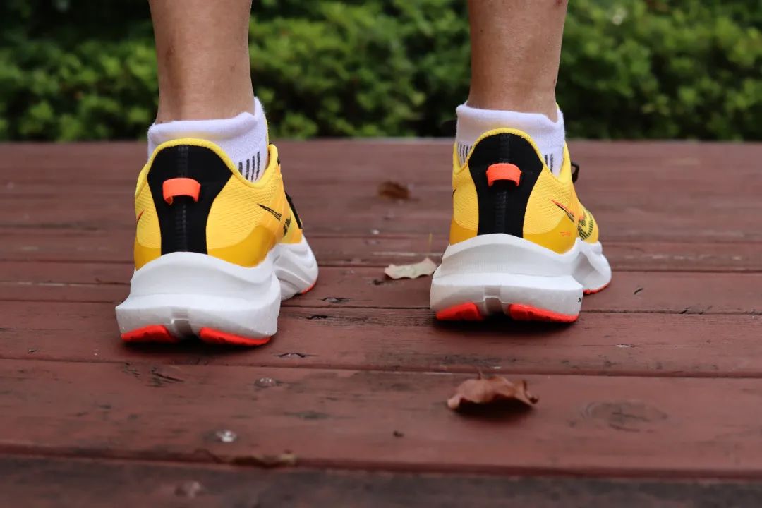 血糖|?初跑者买跑鞋选轻弹还是稳定？