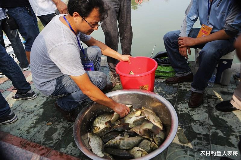|钓鱼人都说秋季退水鱼难钓，做好这两点以后野钓退水不空军
