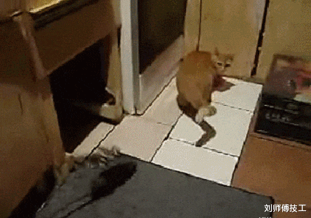 |我朋友娶了俄罗斯美女，产前娜塔莎，产后娜大妈，网友的评论绝了~