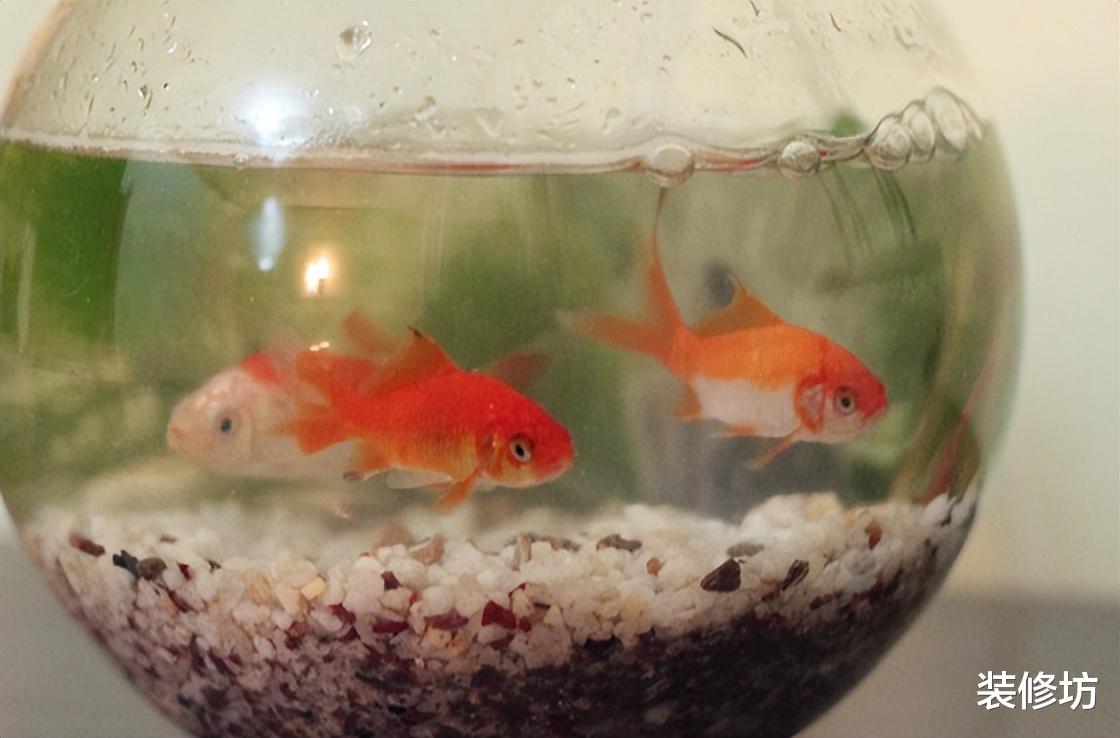 涨知识了!空调里流出来的水,太“值钱”了,好多人不知道有啥用