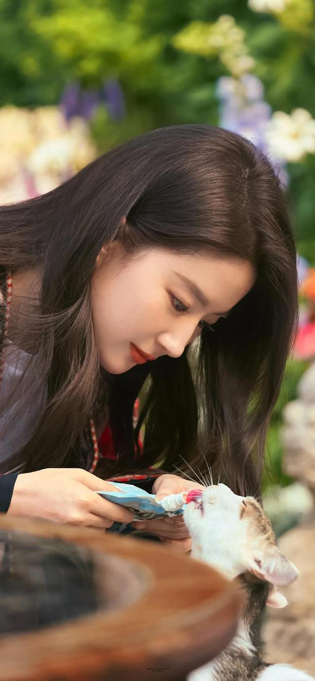 刘亦菲|去有风的地方，刘亦菲许红豆的高清精美壁纸