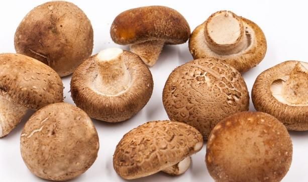 西红柿|与西红柿相克的食物有哪些?两者尽量不要一起食用,不要不放心上