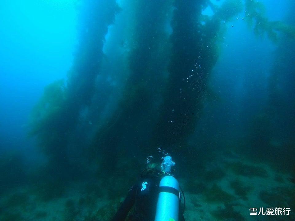 “深海”吓人的38张照片,那里的巨蟒太大了