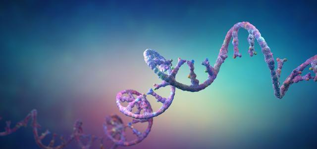 科学家发现许多深海病毒,可以影响海洋碳含量,极地病毒分布最多