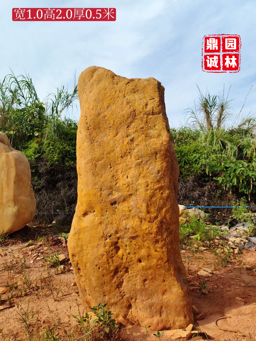 园林|黄蜡石黄色圆润景观摆放风景置放石