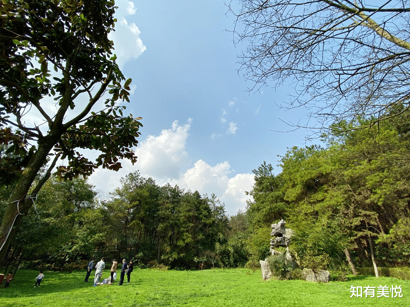 旅行|国内16个省级森林公园，城市的“绿色之肺”，你去过几个呢？