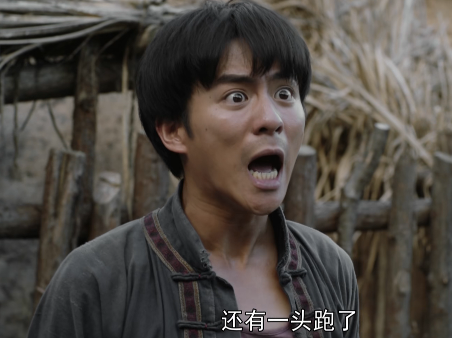 那山那海|《那山那海》和《一日三餐》各追1集：一个追不下去，一个看上瘾