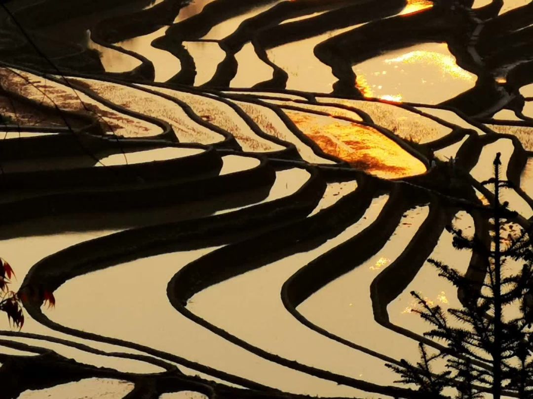 云南|一个冬天，四种云南，一个超越想象力的旅行地