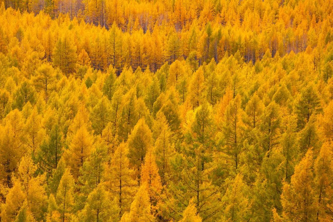 |景色媲美瑞士！直飞2国内秘境去一次等于玩转欧洲，现在去正好！