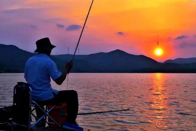 两只老虎|钓友们说的最后钓一条收杆鱼，是想追求完美，还是恋恋不舍？