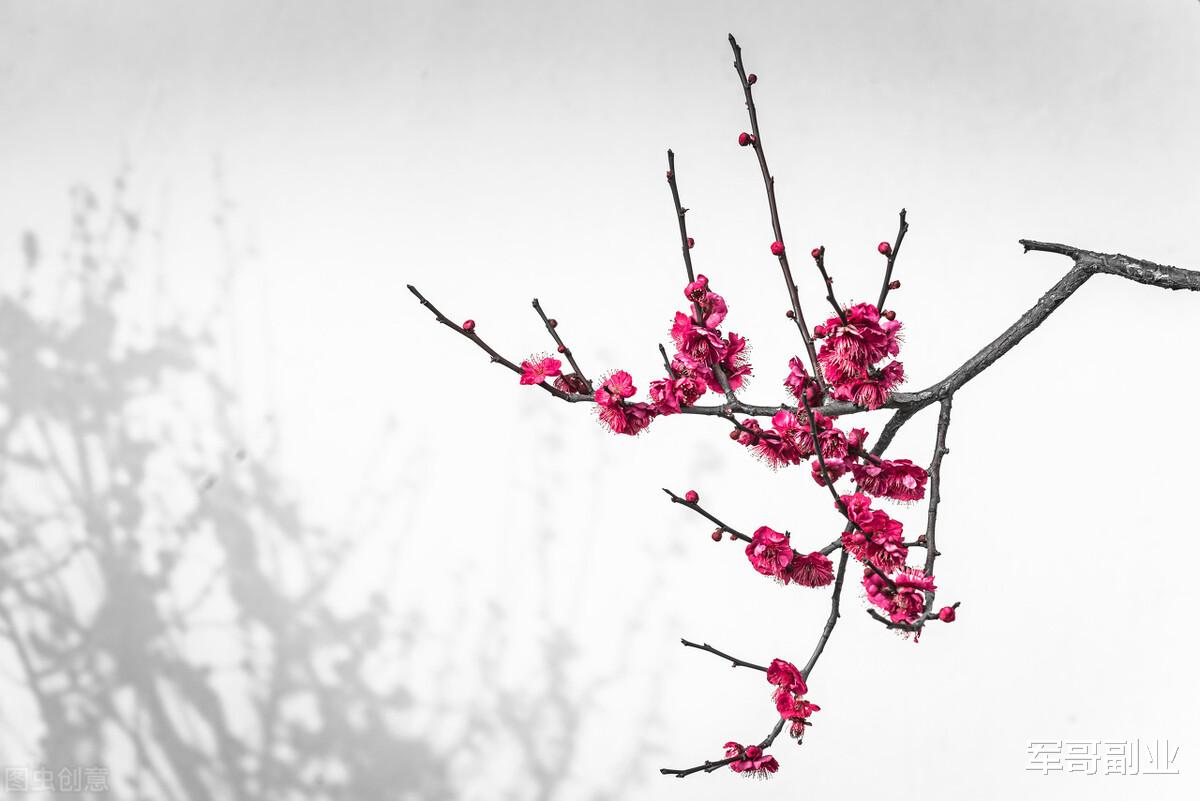 上海市|互联网搞钱就是要专注聚焦深耕细分领域!