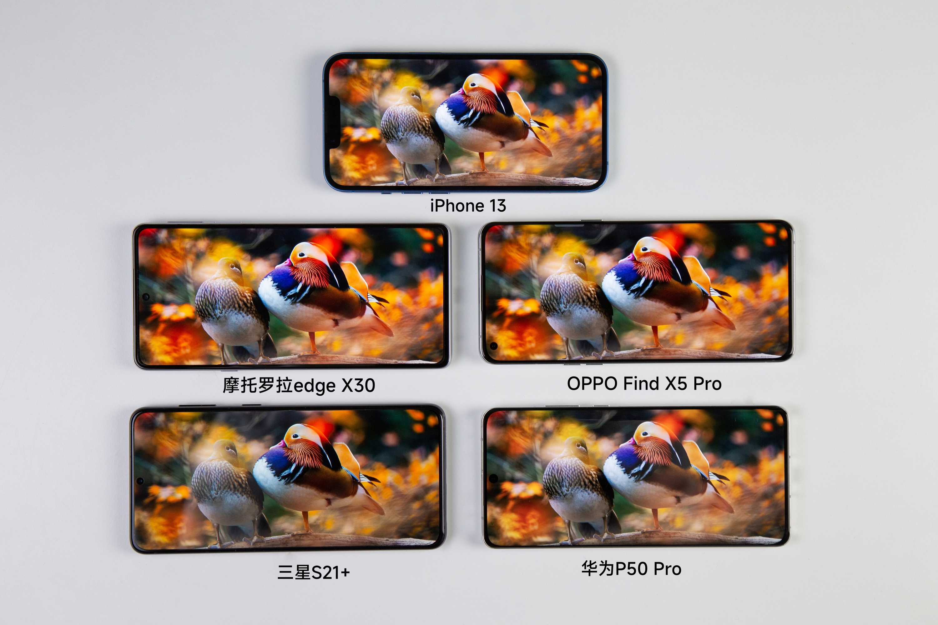 三星|5款旗舰手机屏幕对比，放在一起竟难分难解，你更喜欢谁的观感？