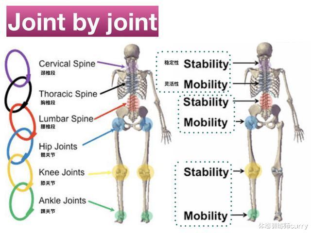 |腰酸背痛、肩颈不适是职场女性的通病,一个新视角帮你发现解决