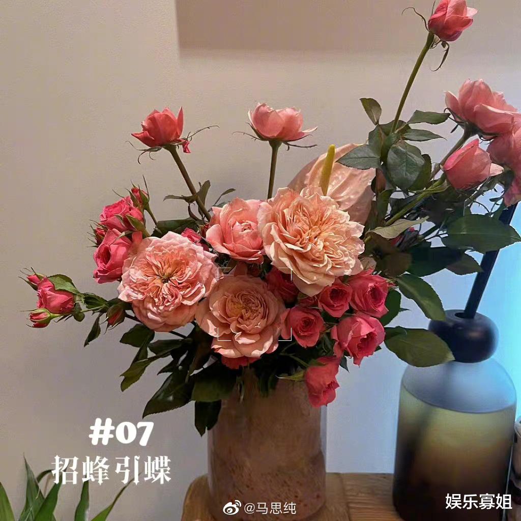 杨紫|马思纯真的有在认真生活,晒了很多花束,杨紫前来投票