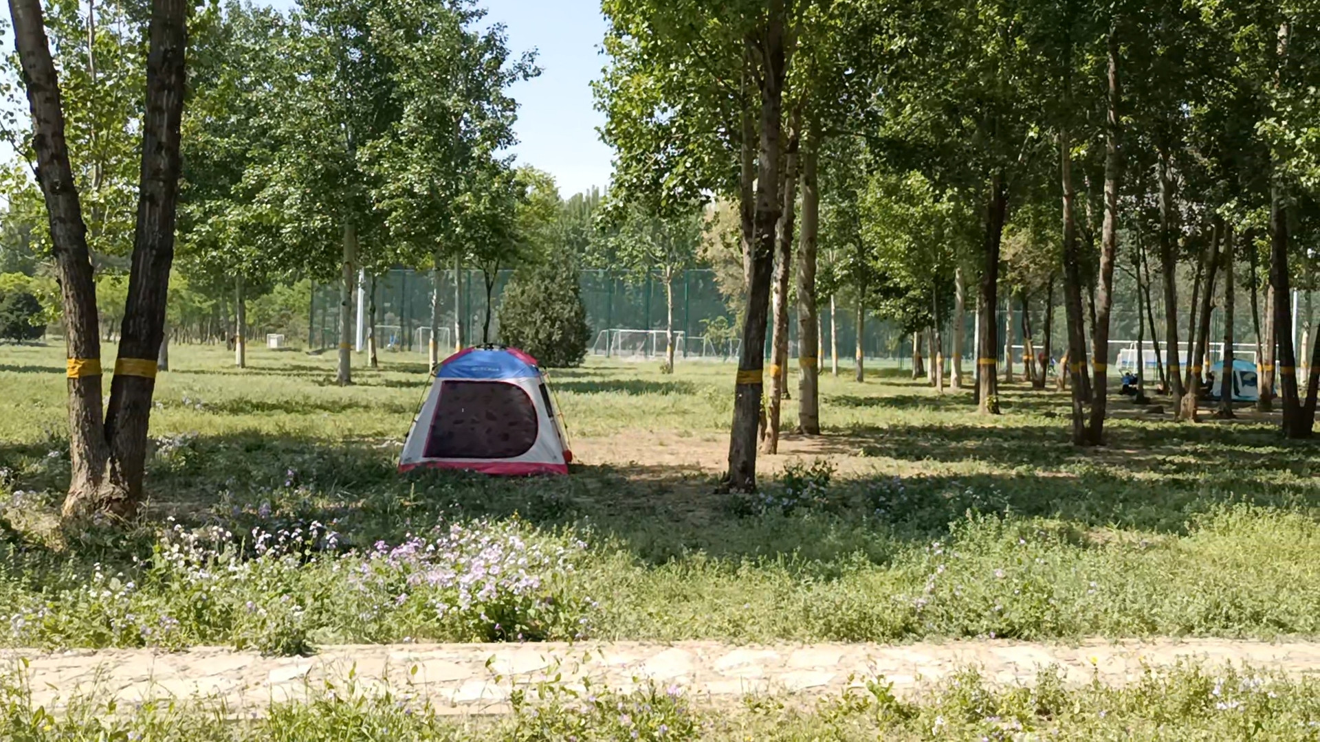 露营|自驾游野外露营，哪类帐篷更适合？听我细数优缺点