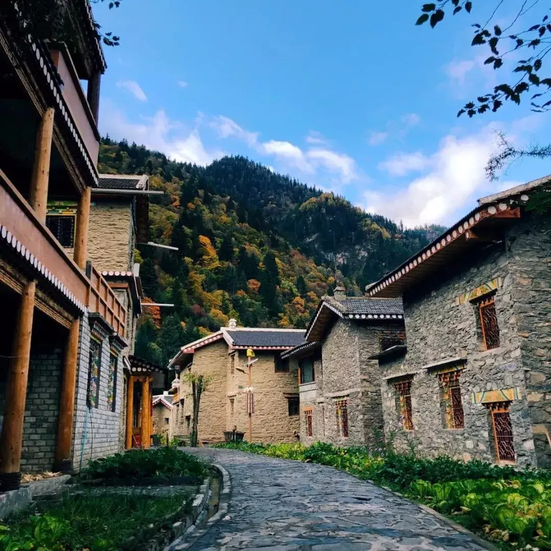 洛阳|再过半月!成都周边这个仙境,拥有最完美秋天