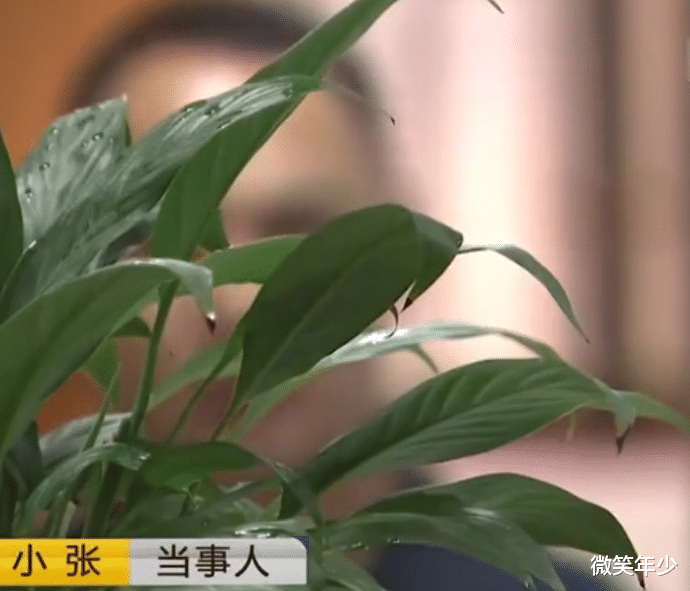 成人高考|17年，深圳小伙应聘陪富婆，进房间30秒就被赶出来