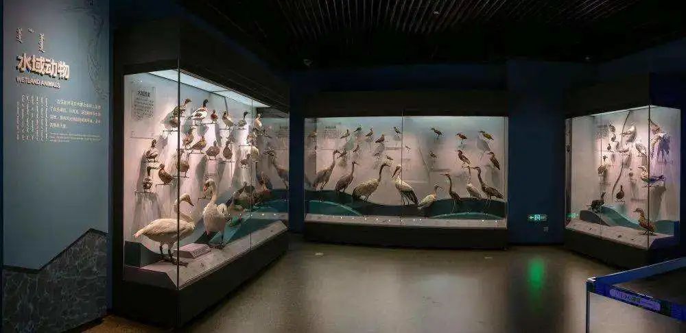 打破压抑沉闷,创新设计来赋予空间新的定义!