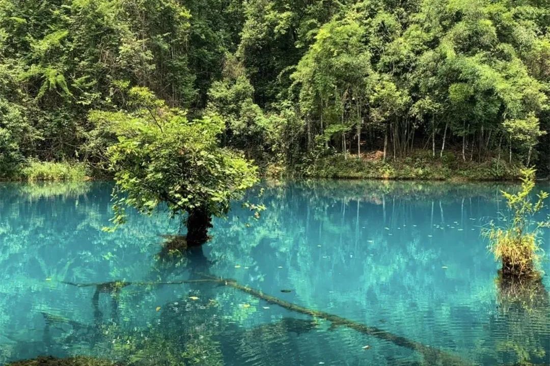 九寨沟|贵州丨因抖音“旅游主播”而爆红，有寓意“忠贞”的桥，也有像极了“九寨沟”的自然风光，是众多网红的直播打卡地！