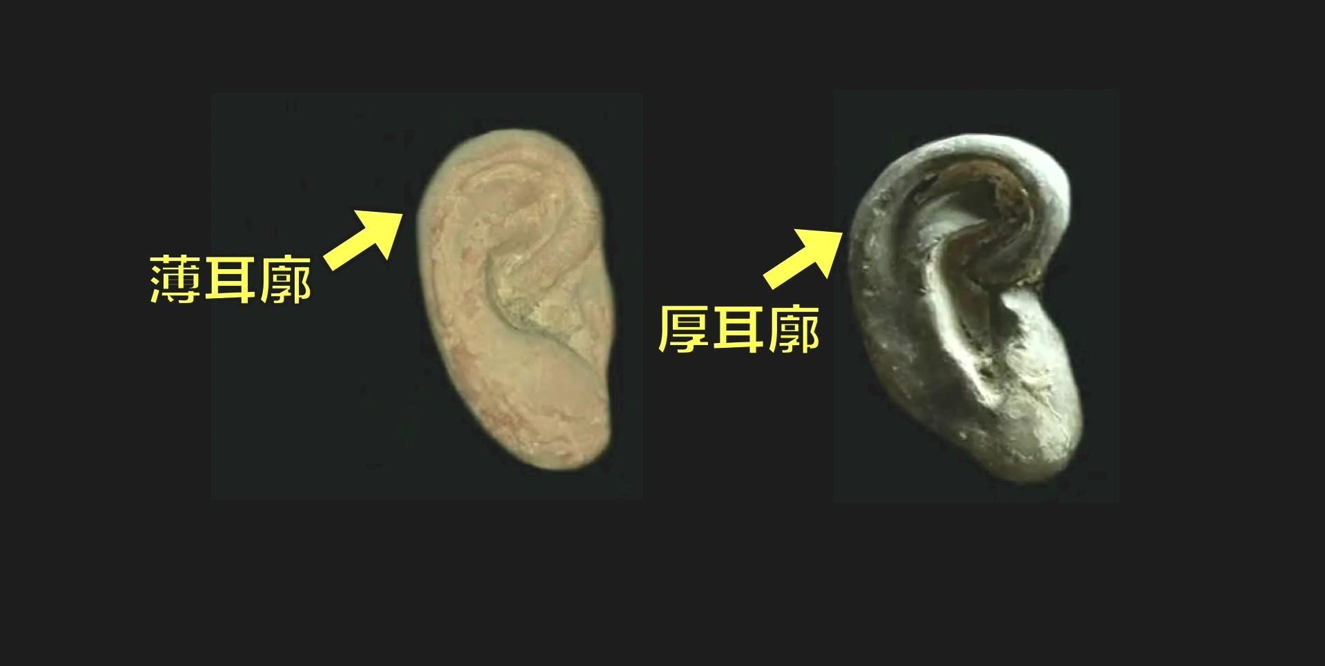 为什么兵马俑会涂装蓝色超导材料?竟然读出不可思议的黑科技故事