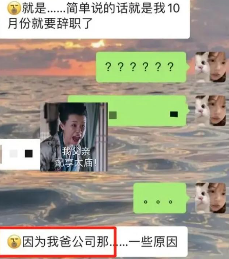 00后|00后毕业生“低情商”辞职信走红,理由编都不编,场面话能省就省